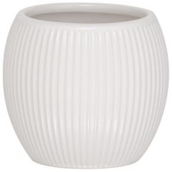 SEALSKIN CONVEX TANDENBORSTELBEKER VRIJSTAAND WIT