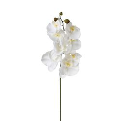 ORCHIDEE STEEL H.108CM