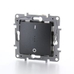 LEGRAND CONTROLESCHAKELAAR DUBBELPOLIG NILOE ANTRACIET