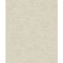 DUTCH WALLCOVERINGS VLIESBEHANG TEXTURED TOUCH UNI SANDBEIGE