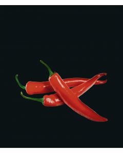 WENKO MUR ARRIÈRE EN VERRE HOT PEPERONI 60X70CM