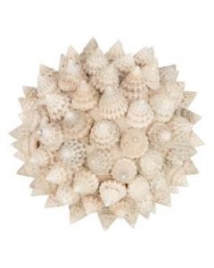 J-LINE BOL SCHELPEN PIKE WIT S