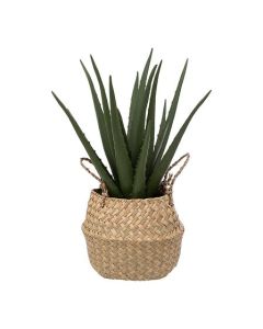 KUNSTPLANT ALOE VERA H37CM BEIGE POT