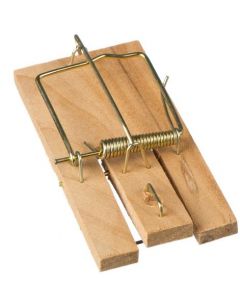 FLORAWORLD HOUTEN MUIZENVAL