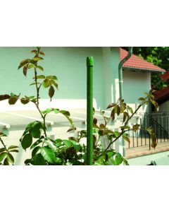 FLORAWORLD PLANTENSTOK STAAL 120CM 11MM