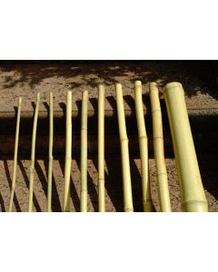 FLORAWORLD BAMBOESTOK 210CM 18/20MM