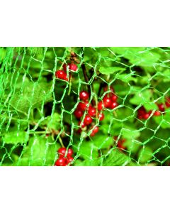 FLORAWORLD FILET A OISEAUX CLASSIC 10X2M