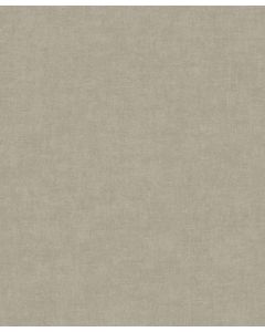 DUTCH WALLCOVERINGS POLAIRE DE VERRE TEXTURED TOUCH UNI TAUPE