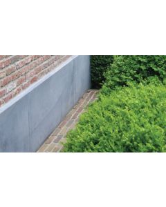 GEVELPLINT BELGISCH AFGESCHUIND 100X20X3CM