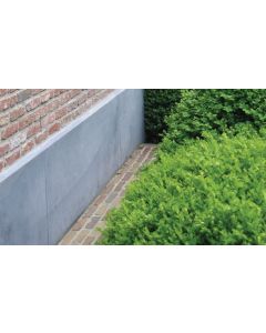 GEVELPLINT BELGISCH AFGESCHUIND 100X30X3CM