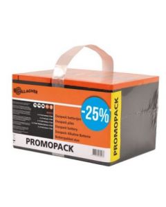 GALLAGHER DUOPACK BATTERIJ 2X9V/175AH 190X125X160