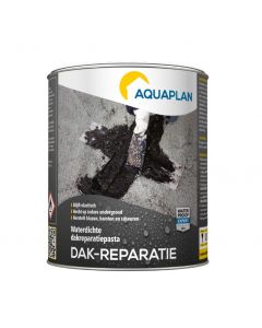 AQUAPLAN MASTIC DE RÉPARATION 1KG