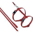 FLAMINGO ASP HARNAIS+LIGNE CHAT ROUGE 110CM