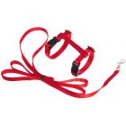 FLAMINGO ASP HARNAIS+LIGNE CHATONS ROUGE 120CM 10MM