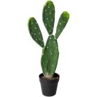 ATMOSPHERA CACTUS H: 60CM