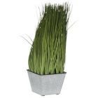 J-LINE HERBES EN POT CARRE VERT L