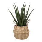 ALOE VERA ARTIFICIEL H37CM POT ROSEAU