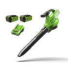 GREENWORKS ASPIRATEUR/SOUFFLEUR SANS FIL GEN II 2X 2AH