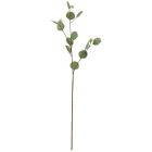 J-LINE BRANCHE LUNAIRE PLAS VERT CLAIR