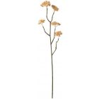 J-LINE FLEUR GYPSOPHILE PLAST OCRE