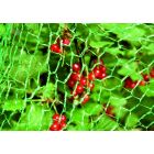 FLORAWORLD FILET A OISEAUX CLASSIC 10X2M