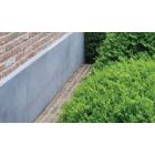 GEVELPLINT BELGISCH AFGESCHUIND 100X20X3CM