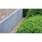 GEVELPLINT BELGISCH AFGESCHUIND 100X40X3CM