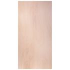 PLAAT MULTIPLEX POPULIEREN 18MM 122X61CM