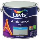 LEVIS AMBIANCE MUR SATIN EUCALYPTUS 2,5 L