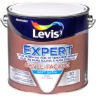 LEVIS EXPERT GEVEL VERF WIT SOFT SATIN 2,5L