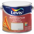 LEVIS AMBIANCE EFFET CRAIE QUINOA 2,5 L