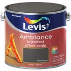 LEVIS AMBIANCE EFFET CRAIE MAGMA 2,5 L