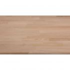 CANDO PANNEAU MASSIF CHENE 18MM 200X60CM