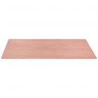 PLAQUE MULTIPLEX BOIS DUR 18MM EXTERIEUR 122X61CM