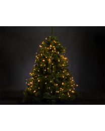 VELLIGHT KERSTVERLICHTING VOOR BOMEN - ATRIA LED 330 ARIZONA WHITE LAMPS 24V