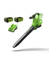 GREENWORKS ACCU BLADBLAZER/ZUIGER GEN II 2X 2AH